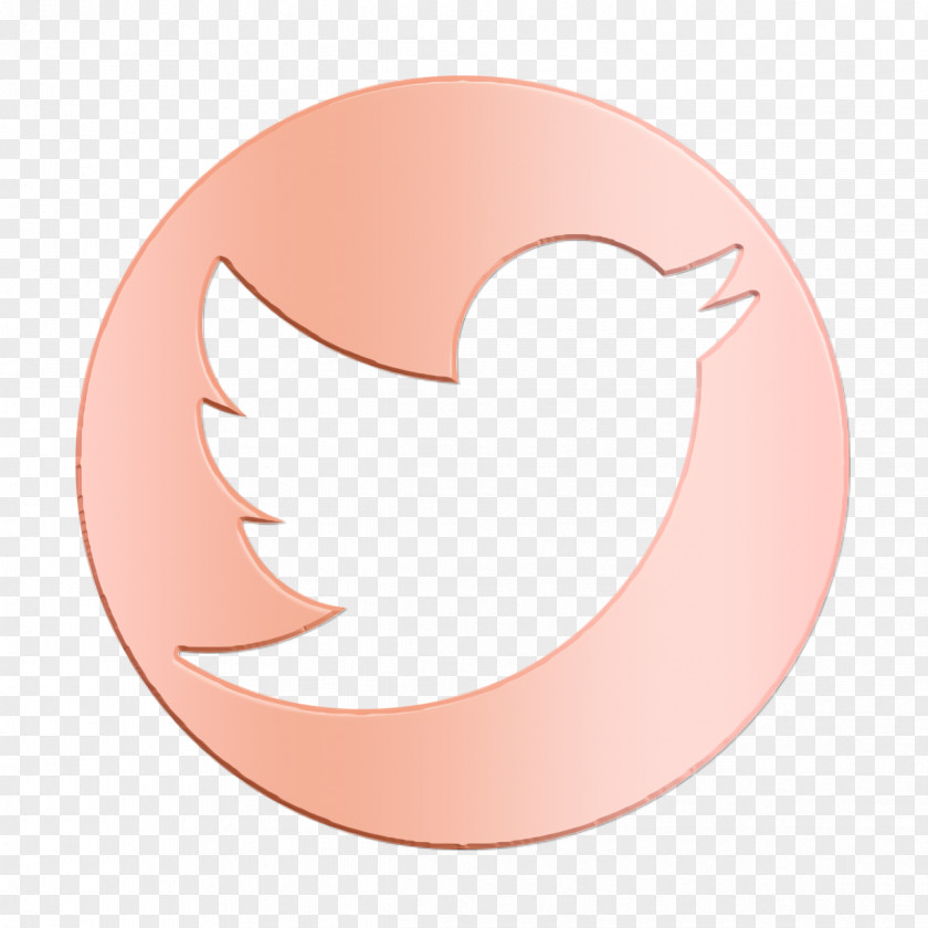 Social Icons Rounded Icon Twitter Logotype PNG