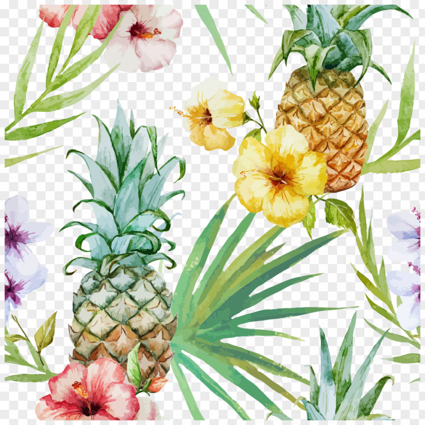 Tropical Plants Cuisine Of Hawaii Pineapple Wallpaper PNG