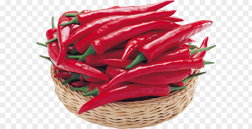 Bird's Eye Chili Piquillo Pepper Chile De árbol Serrano Tabasco PNG