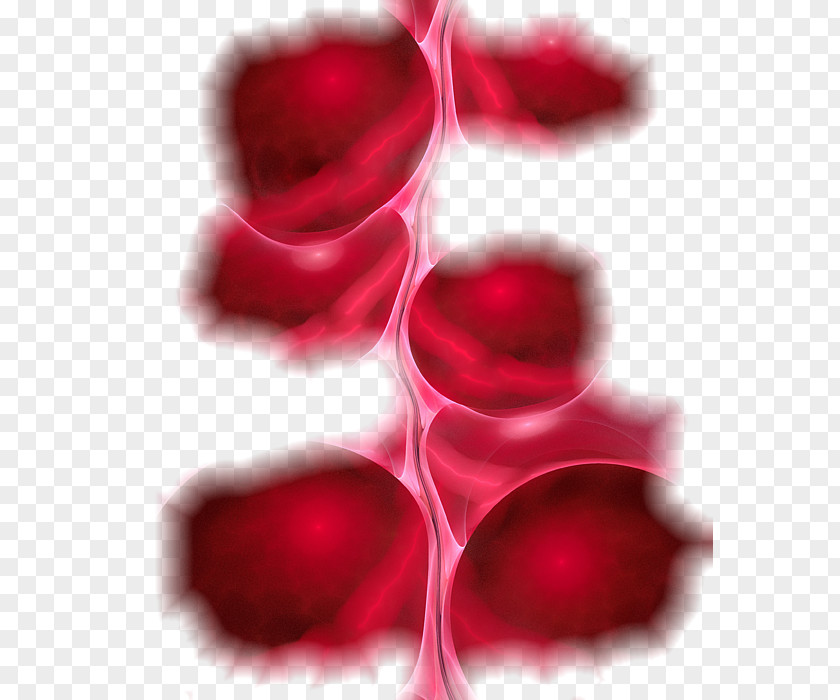 Blood Flow Desktop Wallpaper Computer Close-up PNG