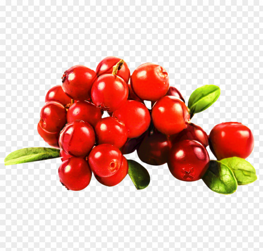 Cranberry Juice Ingredient Fruit PNG