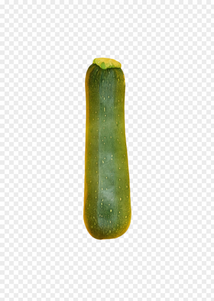 Cucumis Cucumber Green PNG