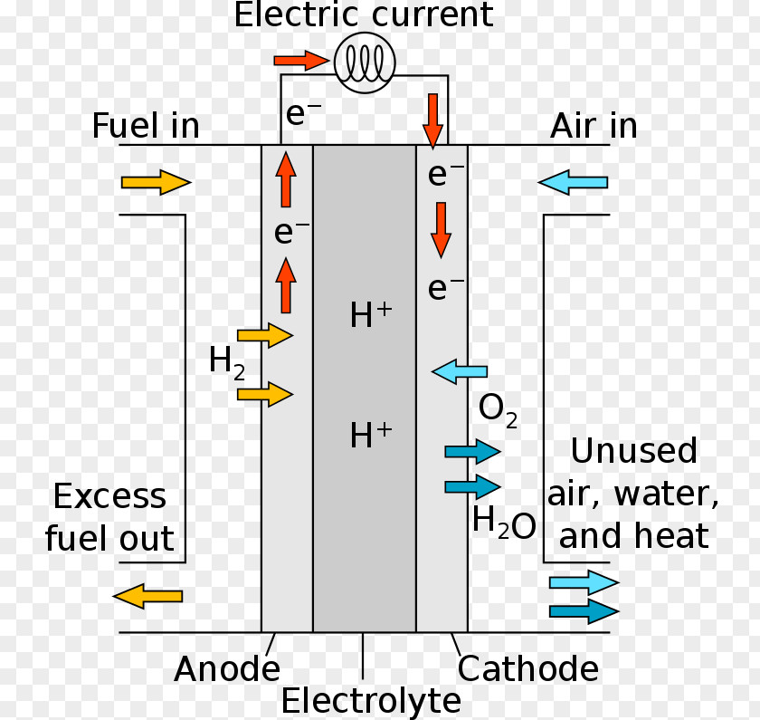 Electrochemical Cell Proton-exchange Membrane Fuel Cells Molten Carbonate Phosphoric Acid PNG