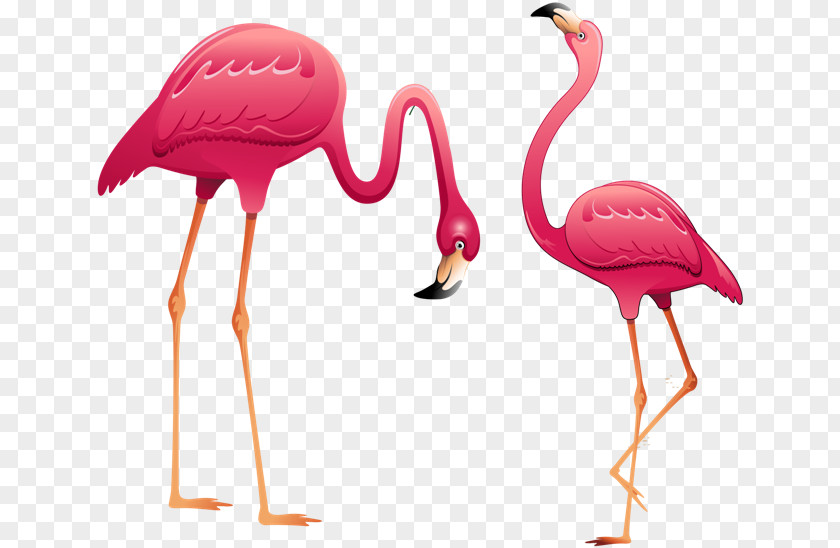 Flamingo Clip Art PNG