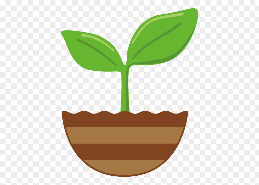 Illustration Leaf Plants Clip Art Image PNG