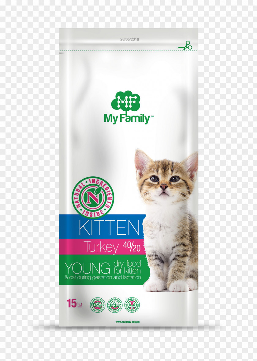 Kitten Whiskers Product PNG