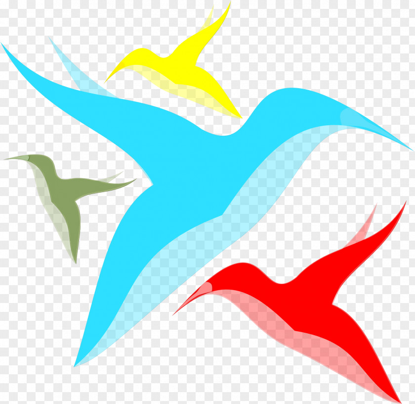Logo Common Dolphins Shark PNG