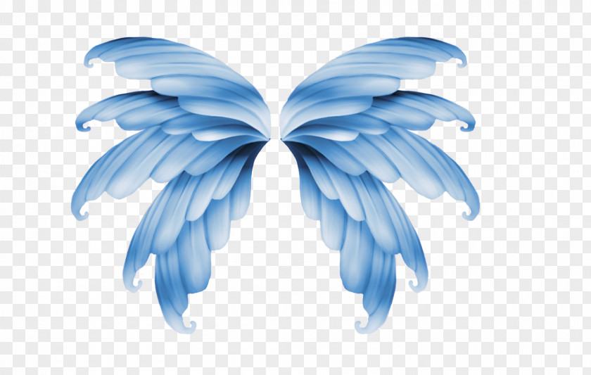Transparent Wings Wing Flight Aile PNG