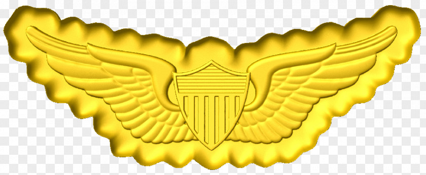 Cnc Army Aviation Wings United States Military Of America PNG