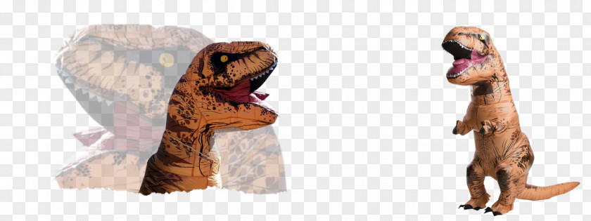 Dinosaur Tyrannosaurus Inflatable Costume PNG