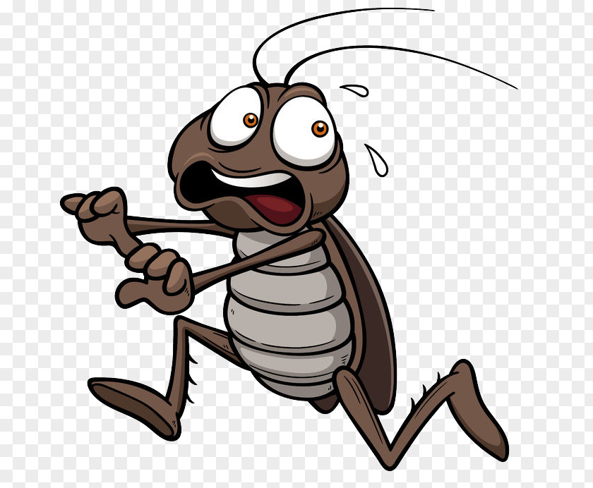 Escape The Cockroach Royalty-free Cartoon Clip Art PNG