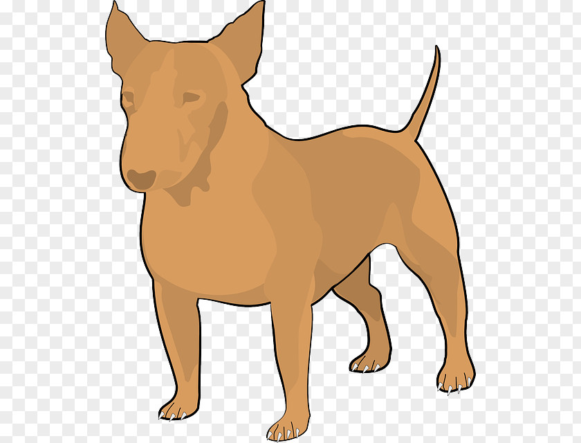 Golden Retriever Staffordshire Bull Terrier Bulldog Puppy PNG