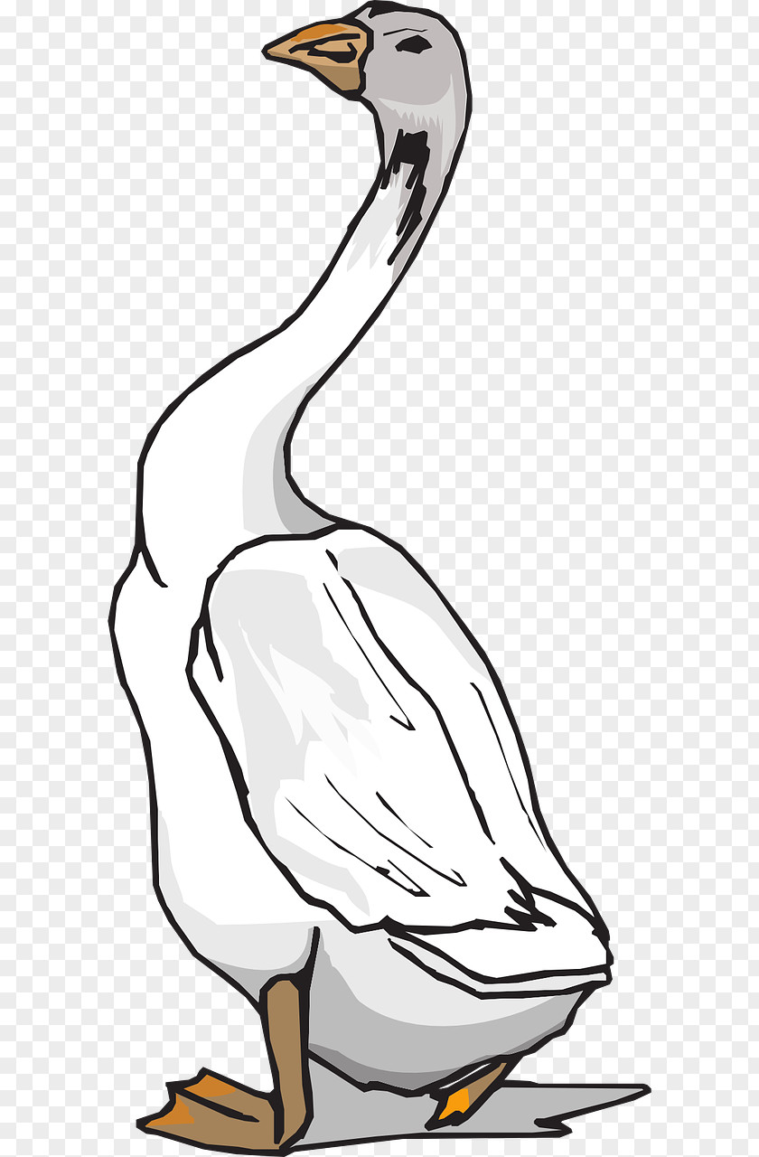 Goose Grey Geese Duck Bird Clip Art PNG