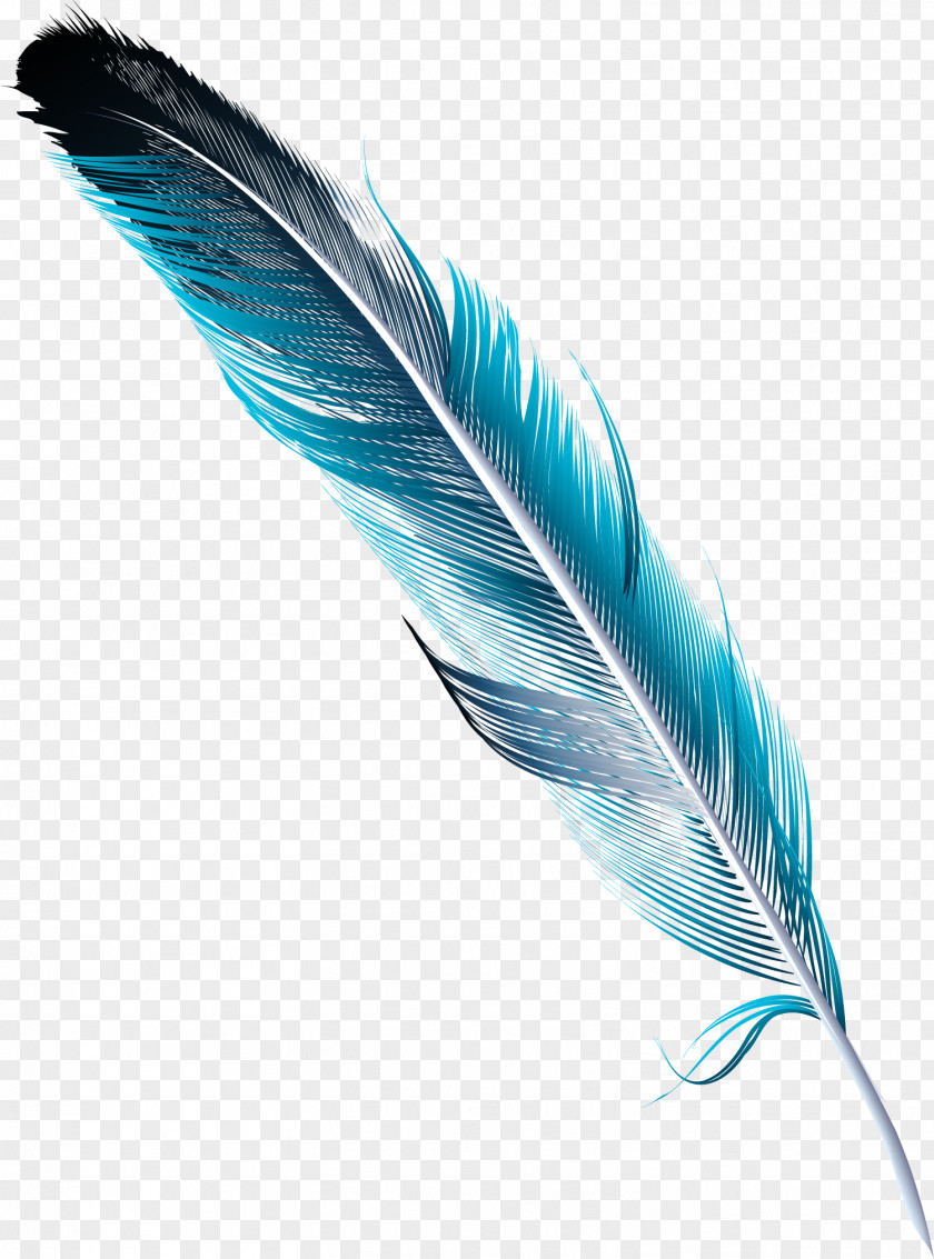 Hand Painted Blue Feather Watercolor Painting Drawing PNG