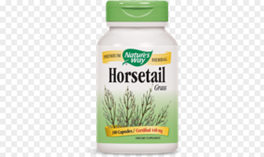 Horsetail Valerian Dietary Supplement Capsule Herb Nature's Way PNG
