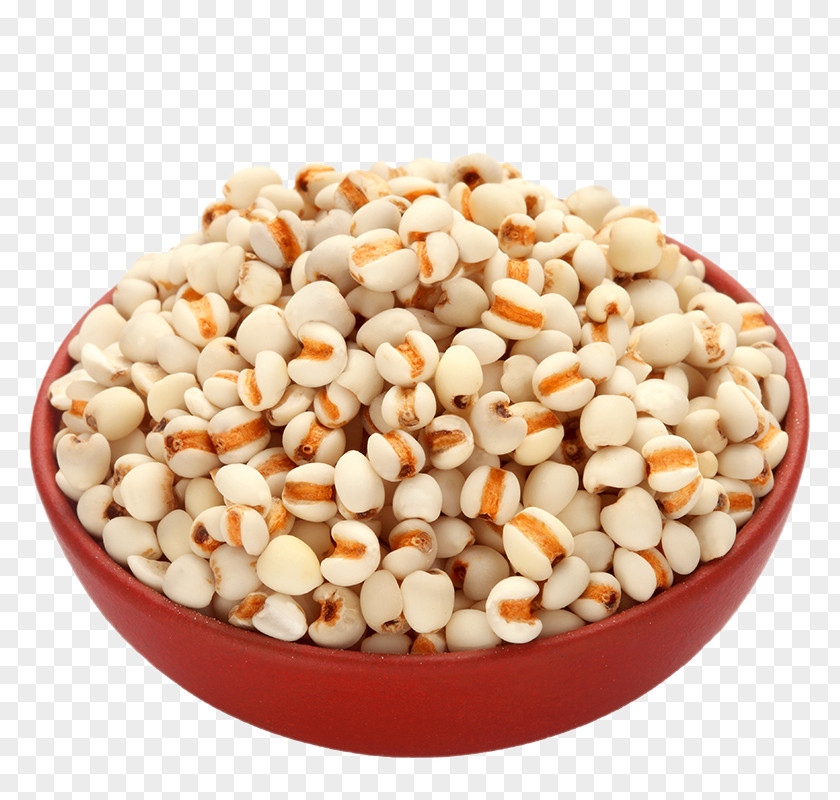 Red Barley Rice Bowl Adlay Patjuk Congee Adzuki Bean PNG