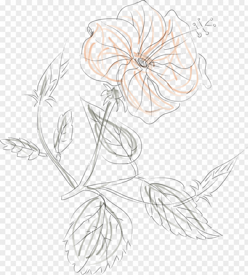 Watercolor Rose Vector Line Floral Design Flower Euclidean PNG