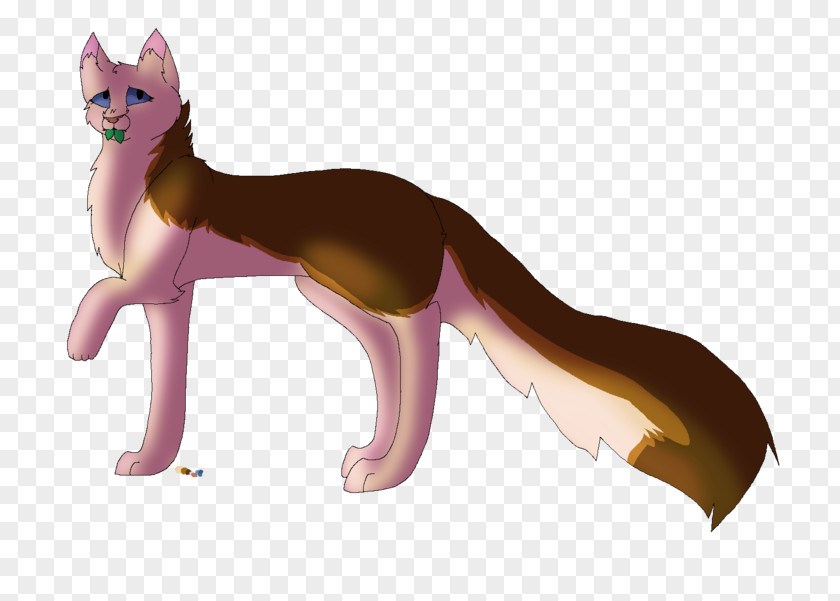 Cat Whiskers Dog Canidae PNG