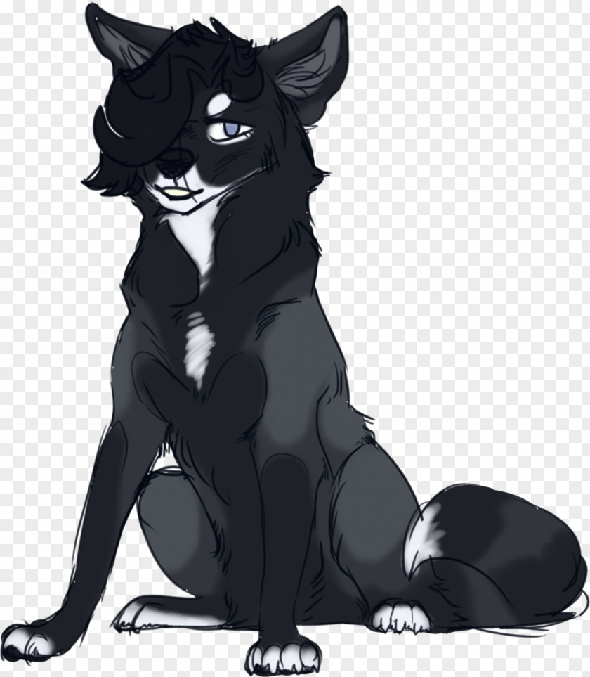 Cat Whiskers Dog Werewolf Canidae PNG