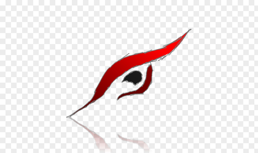 Eye Eyebrow Clip Art Beak Illustration PNG