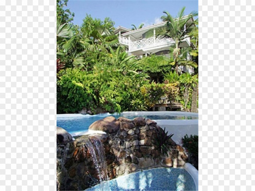 Vacation Water Resources Swimming Pool Ecosystem Resort Property PNG