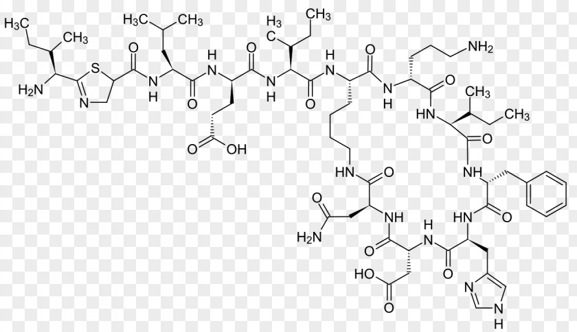 Bacitracin Cyclic Peptide Structure Cyclosporine PNG