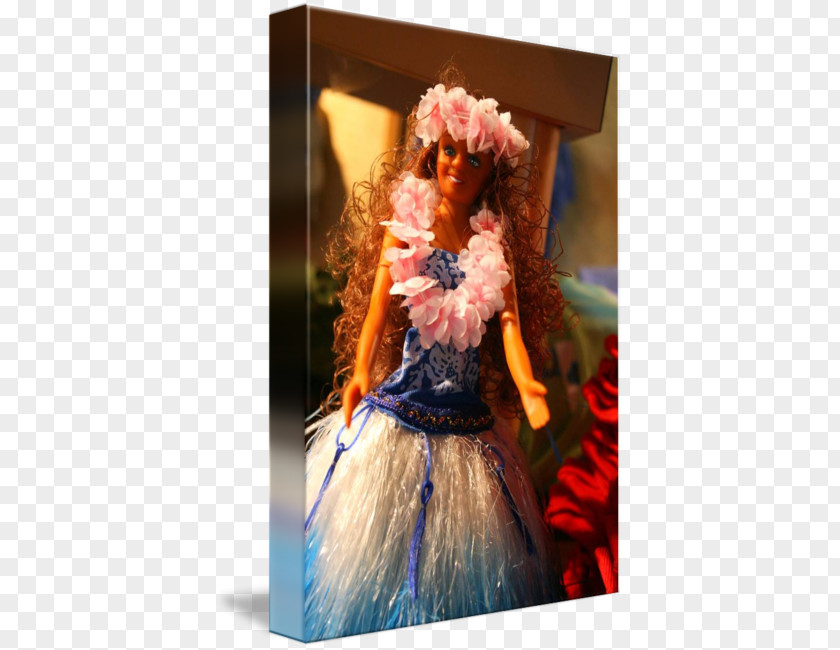 Hula Costume PNG