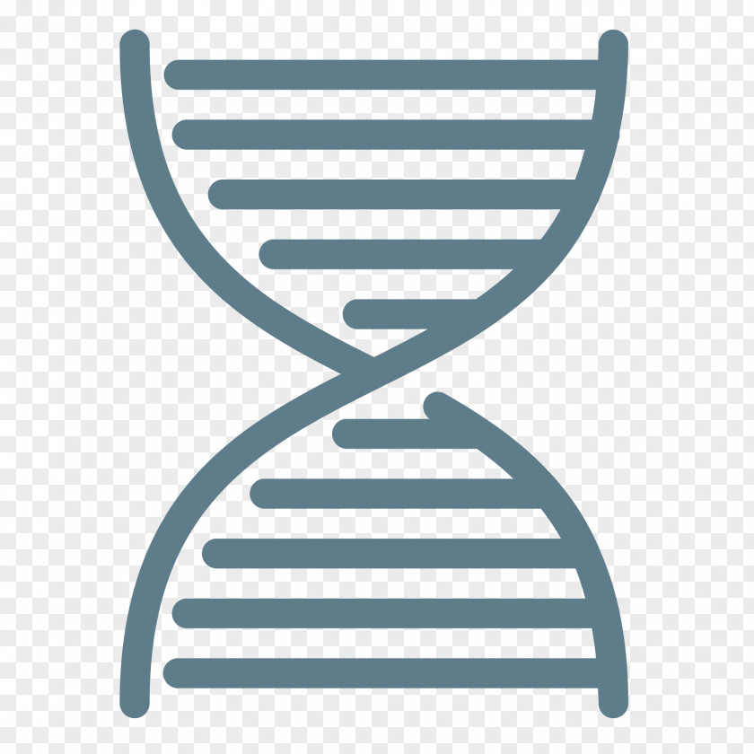 Line Nucleic Acid Double Helix DNA PNG