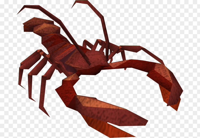 Lobster Insect Scorpion Invertebrate Decapoda PNG