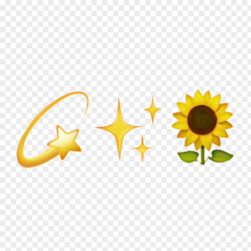 Smile Logo Sunflower Background PNG