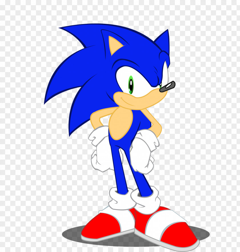 Sonic The Hedgehog Amy Rose Animation Rainbow Dash PNG