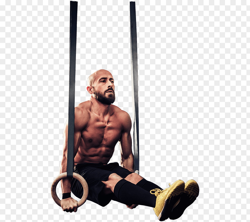 Street Workout MARX HALLE Exercise Equipment Physical Fitness Calisthenics PNG