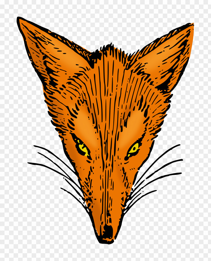 T-shirt Fox Zazzle Clothing PNG