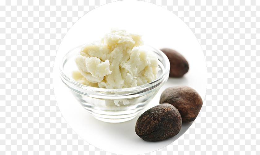 Butter Lotion Shea Cream Vitellaria PNG