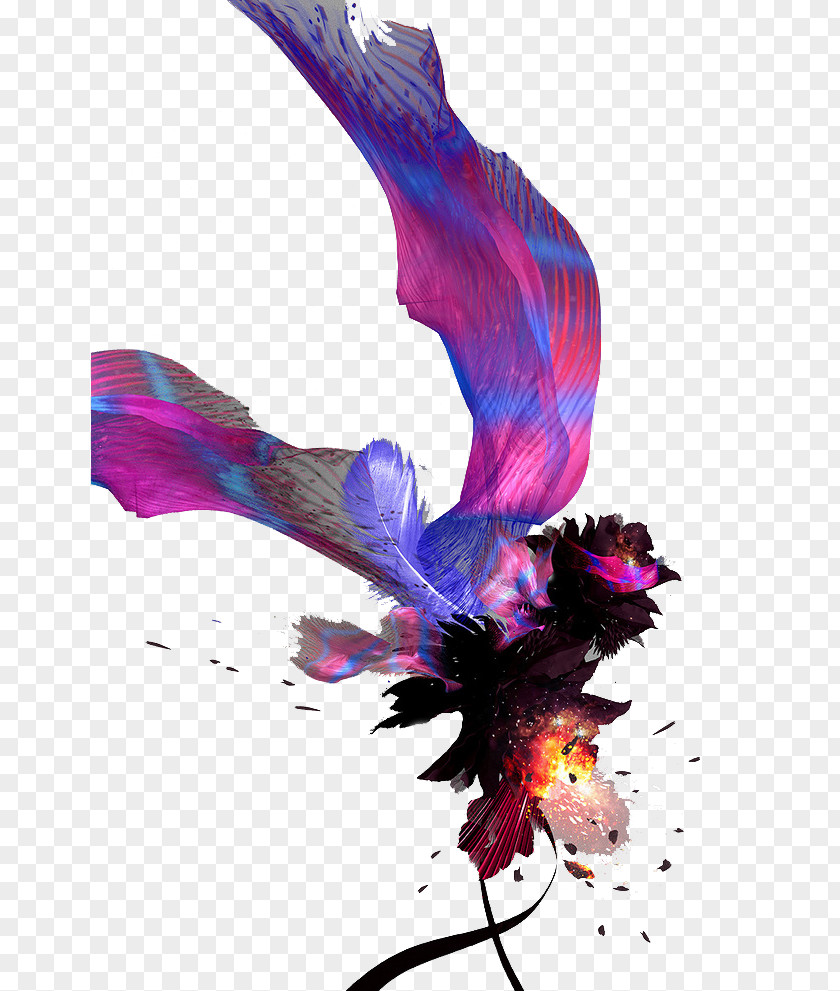 Colored Feathers PNG