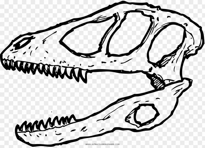 Dinosaur Tyrannosaurus Deinonychus Skull Edmontosaurus PNG