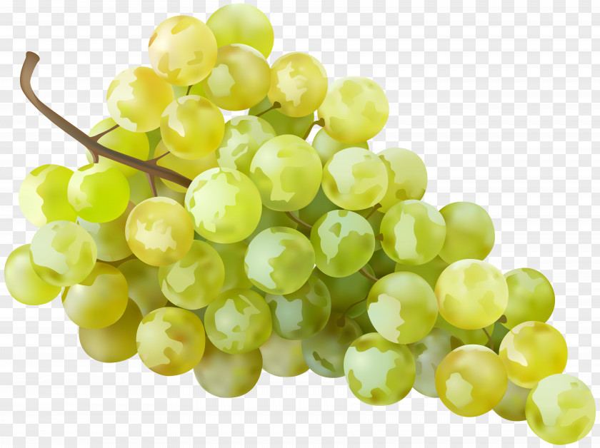 Grape Common Vine White Wine Pie Clip Art PNG