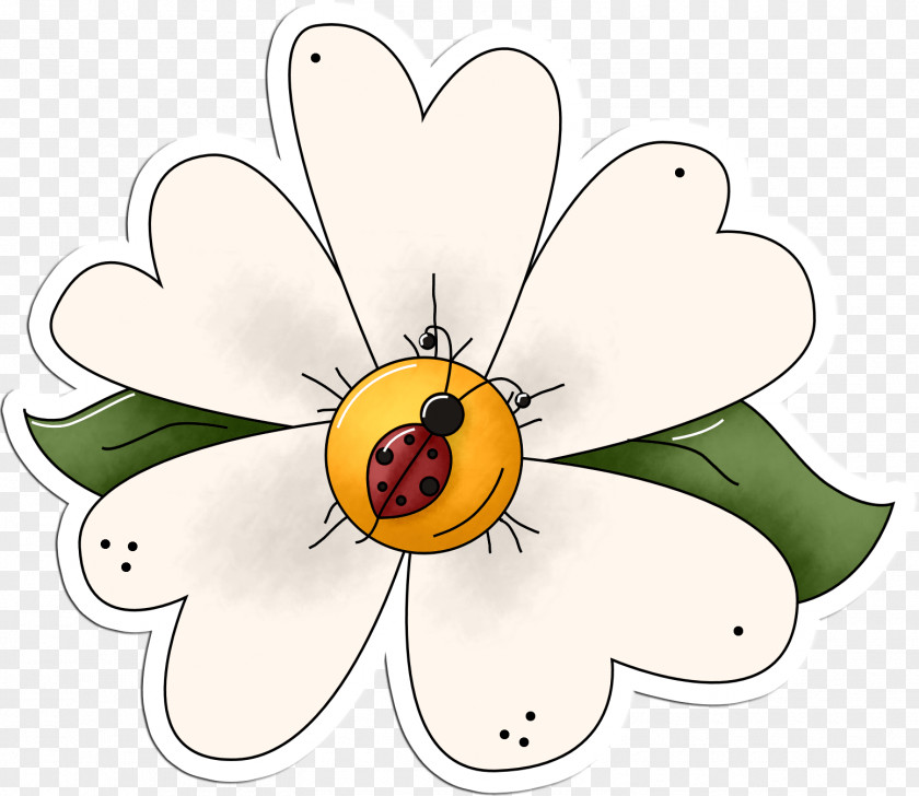 Insect Floral Design Cut Flowers Clip Art PNG