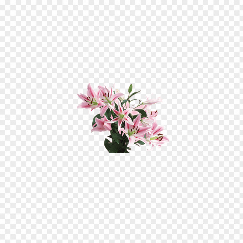 Lily Material Pink Floral Design Flower Nosegay PNG