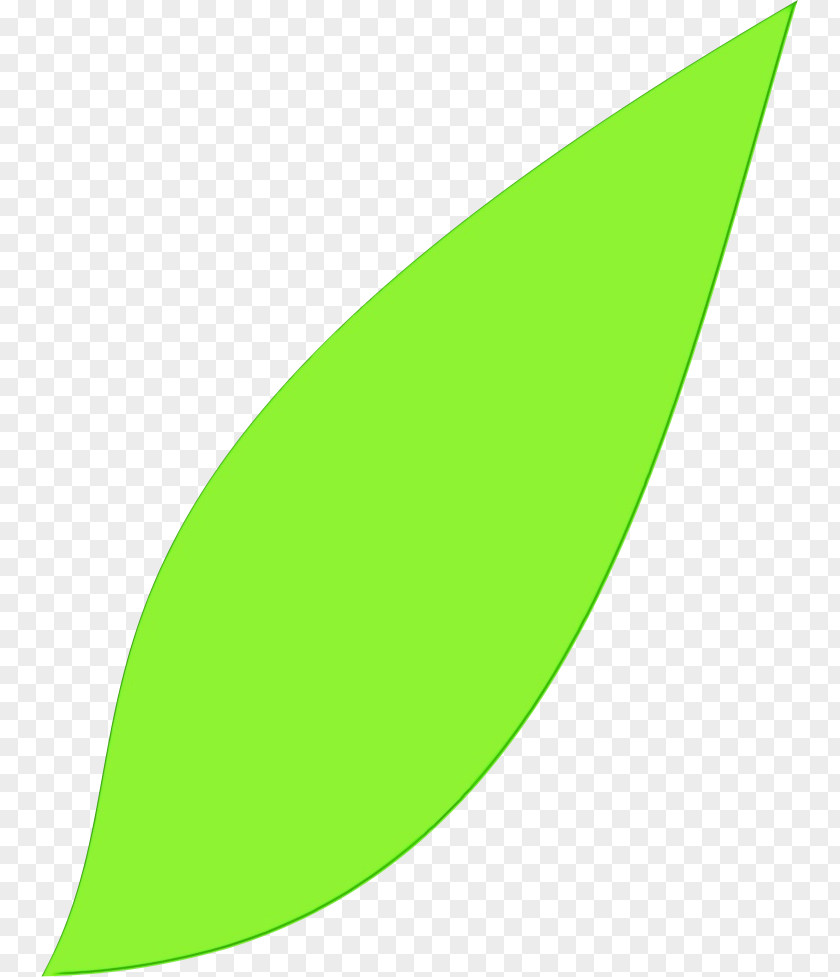 Logo Plant Green Leaf Watercolor PNG