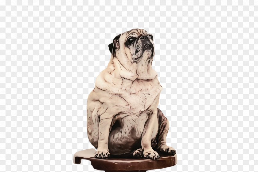 Old English Bulldog Cute Dog PNG