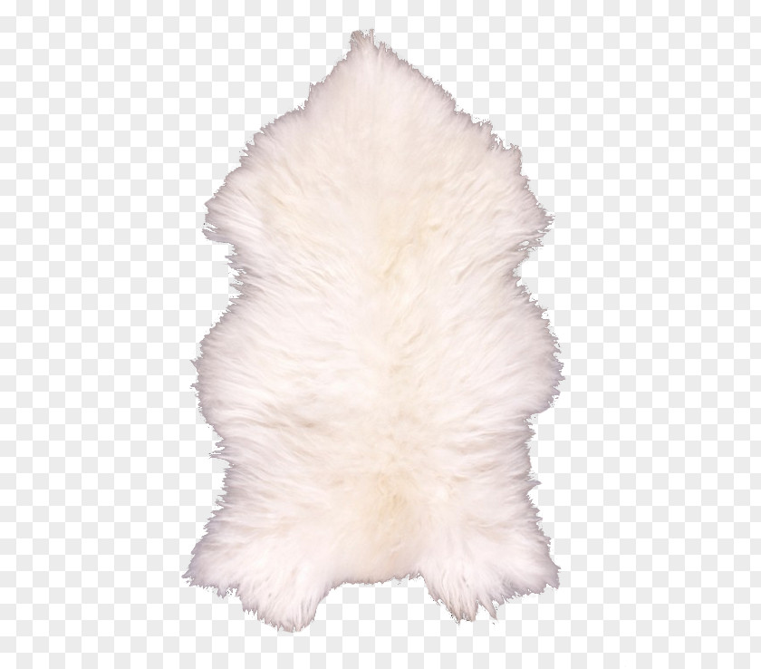 Mouton Fur PNG