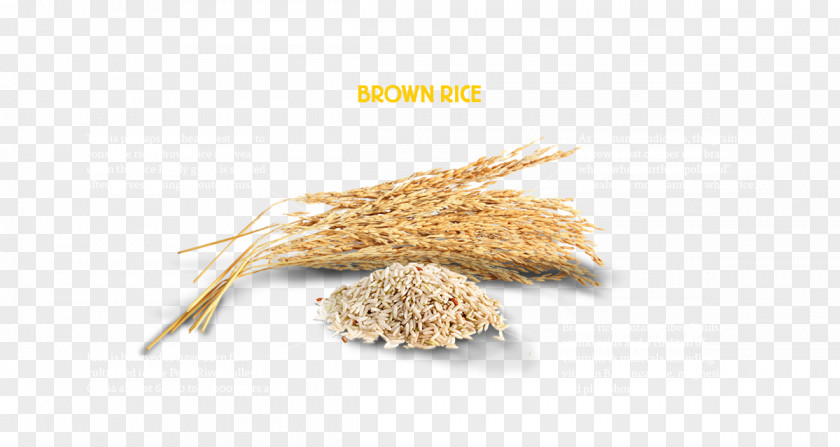 Rice Oat Indian Cuisine Whole Grain Cereal Food PNG