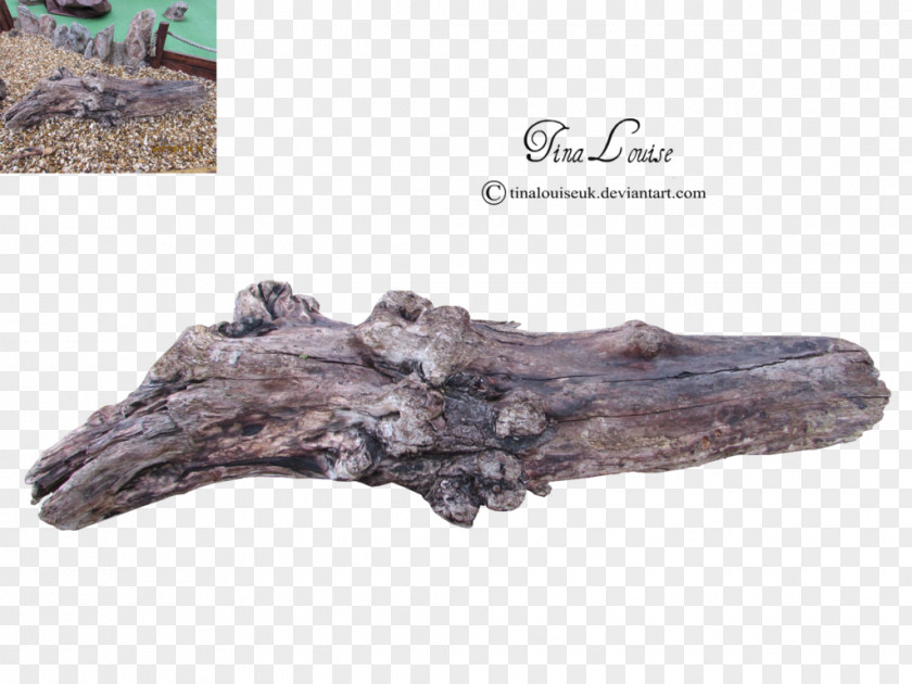 Tree Driftwood Stump Lumberjack PNG