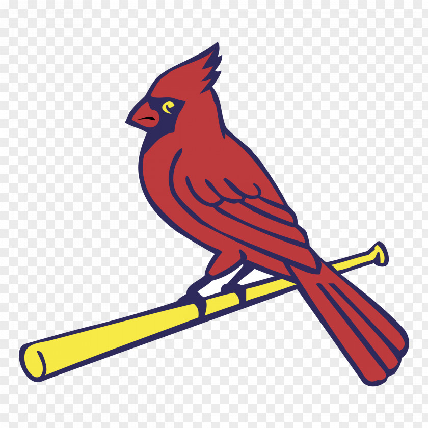 Baseball Logos And Uniforms Of The St. Louis Cardinals MLB Vector Graphics PNG