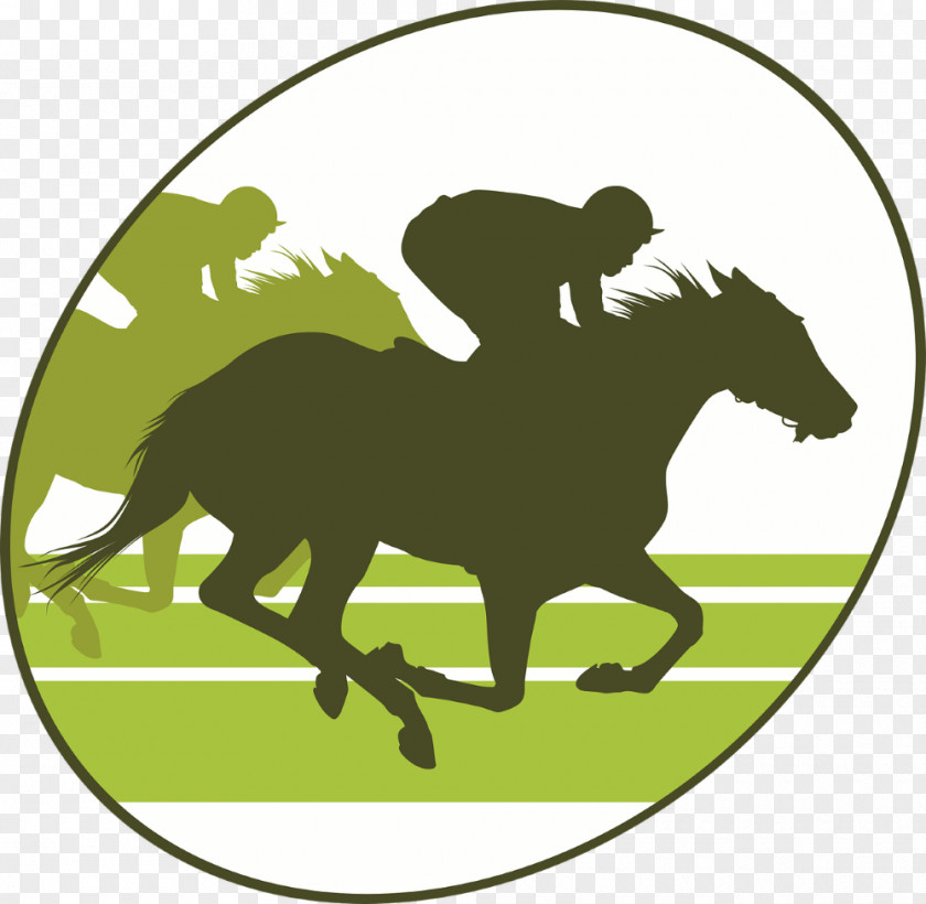 Horse Race Thoroughbred The Kentucky Derby Racing Epsom Clip Art PNG