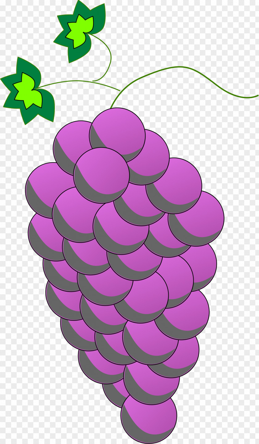 Purple Common Grape Vine Wine Food Clip Art PNG