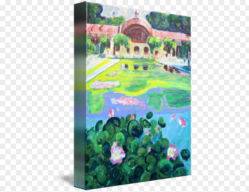 Reflecting Pool Balboa Park Painting Gallery Wrap Art PNG