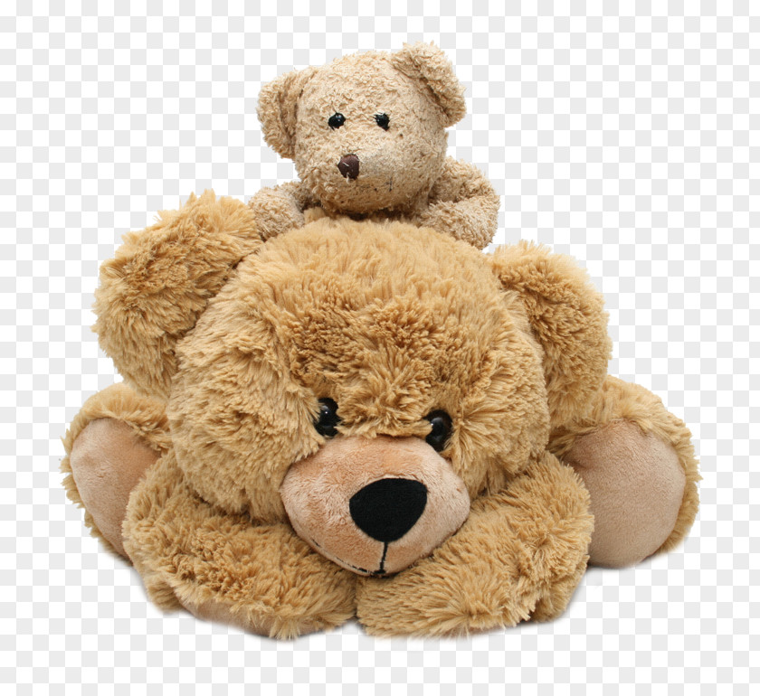 Teddy Bear Stuffed Animals & Cuddly Toys Cuteness PNG bear Cuteness, clipart PNG