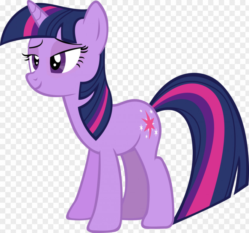 Twilight Sparkle Pinkie Pie Pony Rainbow Dash Applejack PNG